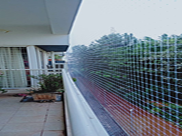 pigeon safety nets installation chennai